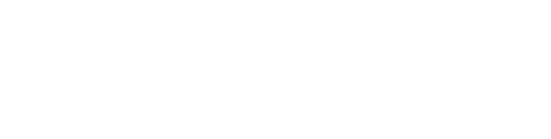 VELD Music Festival
